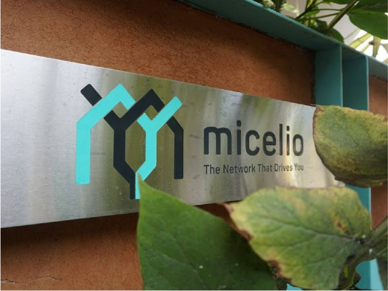 Photo of Micelio Studio